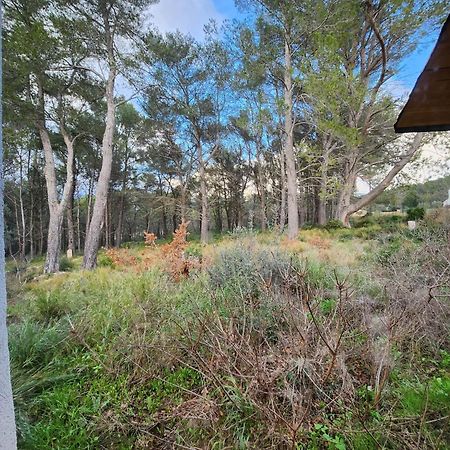 A l'Orée des pins - Gite indépendant avec baignoire balnéo et Home Cinéma en sup - Voir info de l'hôte Cuges-les-Pins Extérieur photo