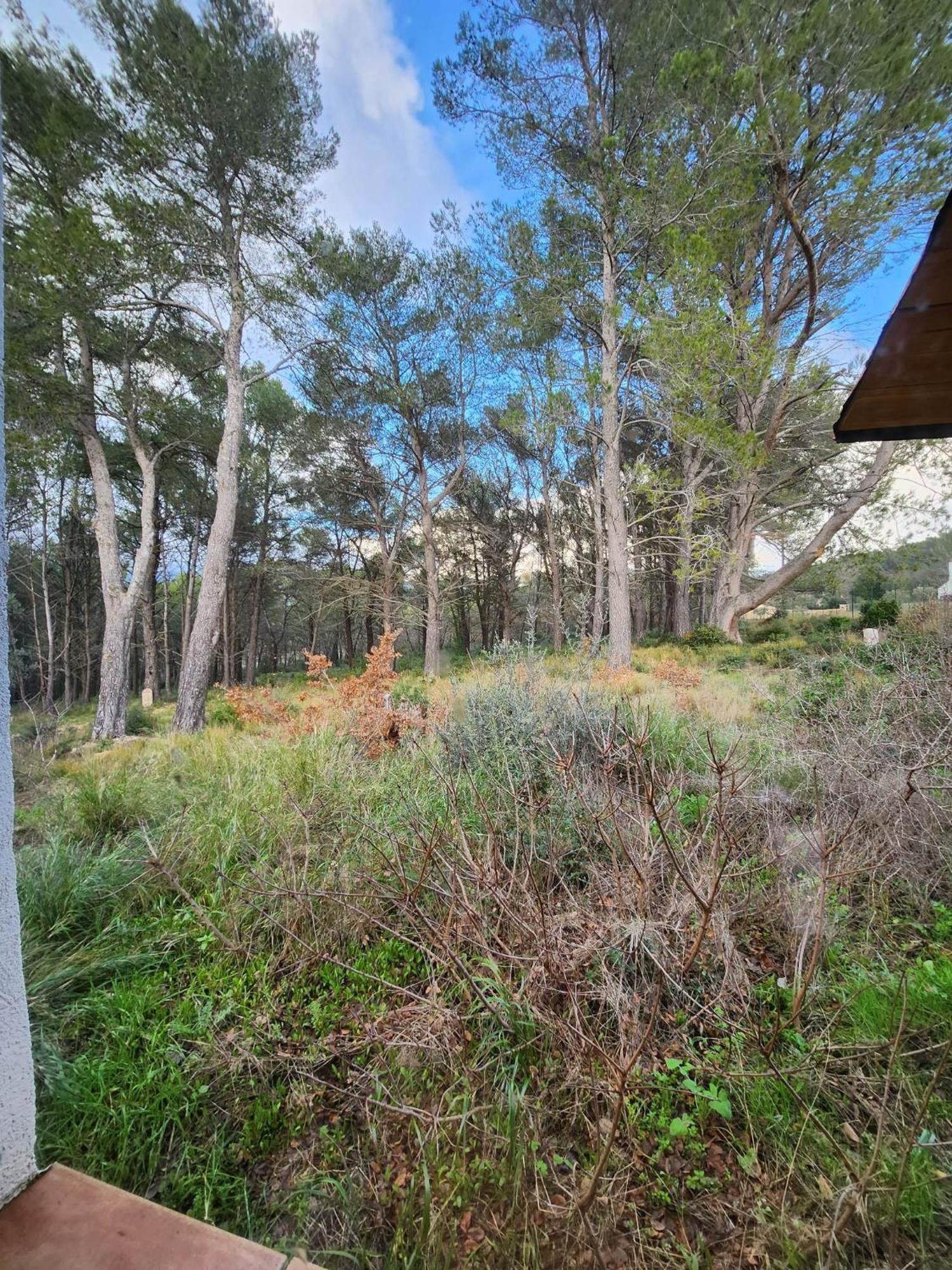A l'Orée des pins - Gite indépendant avec baignoire balnéo et Home Cinéma en sup - Voir info de l'hôte Cuges-les-Pins Extérieur photo
